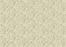 Rasch Novella 983036