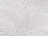 Артикул PL72224-26, Life, Палитра в текстуре, фото 2 Артикул PL72224-26, Life, Палитра в текстуре, фото 2
